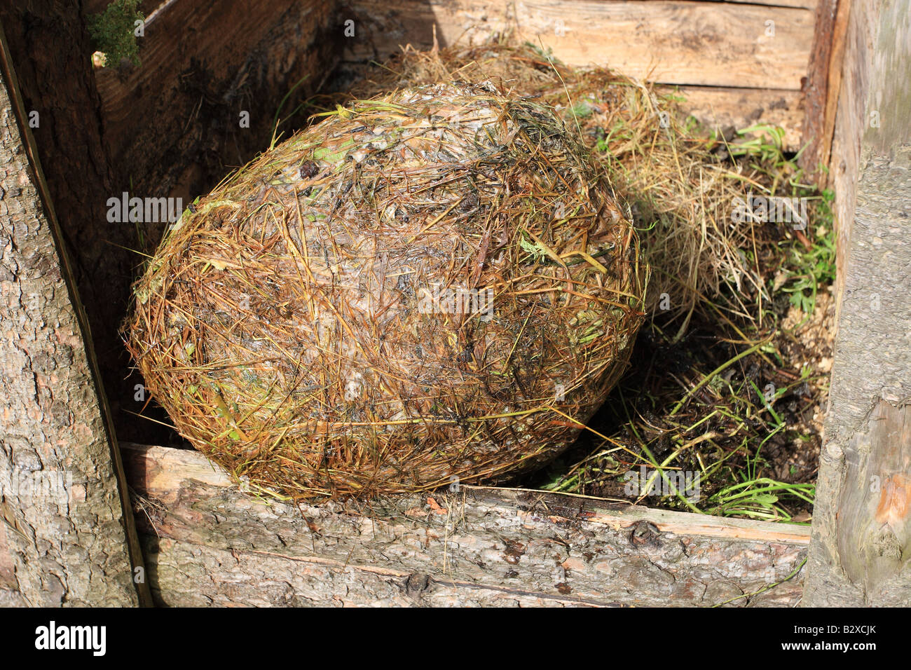 FILLING A COMPOST BIN COARSE GRASS STORED IN POLY BAGS WILL HAVE