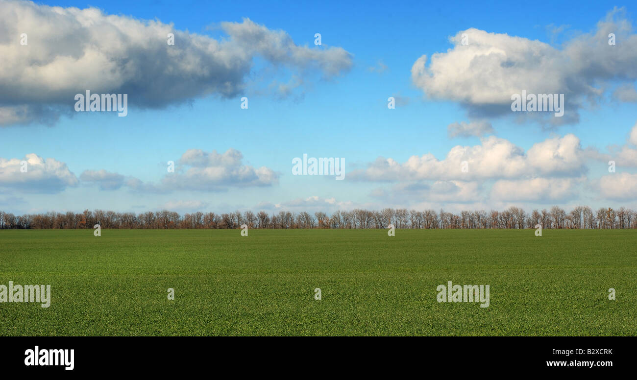 Tree trees horizon cloud hi-res stock photography and images - Alamy