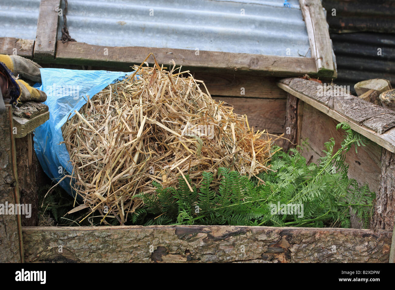 FILLING A COMPOST BIN ADDING STRAW Stock Photo Alamy