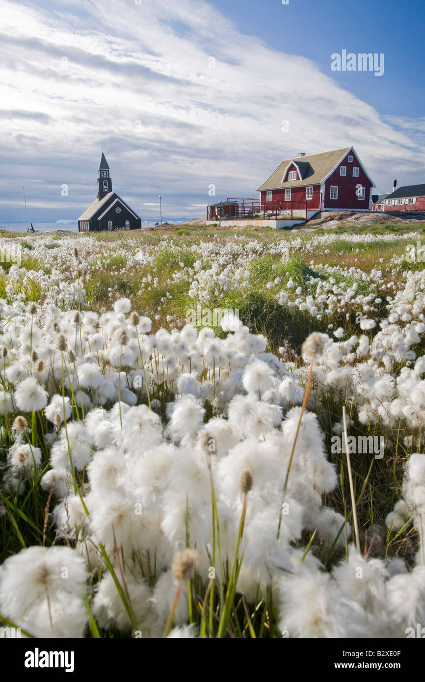 A church in Ilulissat on greenland with Cotton grass in the foreground Stock Photo