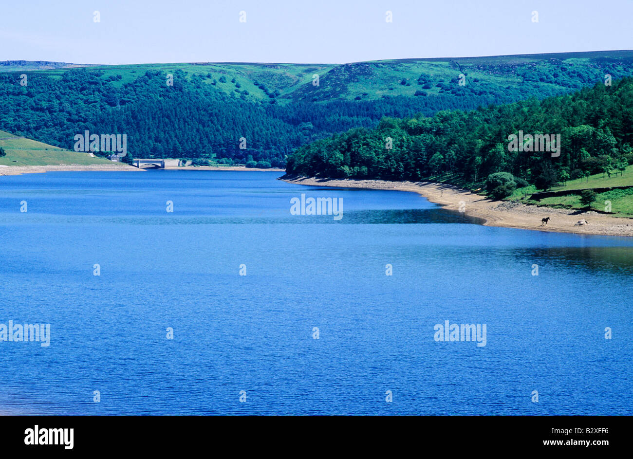 Ladybower Reservoir Derbyshire national water supply artificial lake hills English landscape England UK Stock Photo
