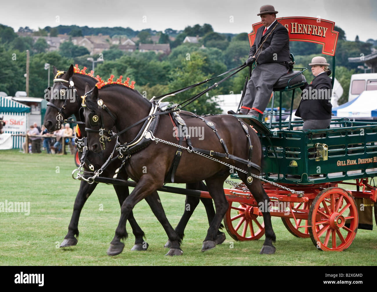 Shire Horses at Bakewell Show Derbyshire Stock Photo