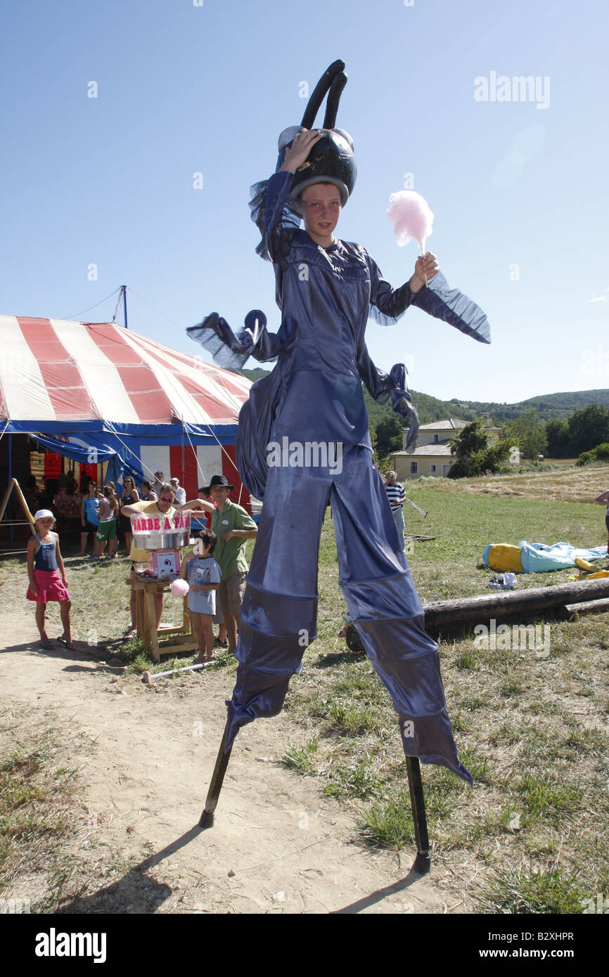 Echassier disguised as riding an ant in fancy dress, hat on stilts. vertical format. 84882
