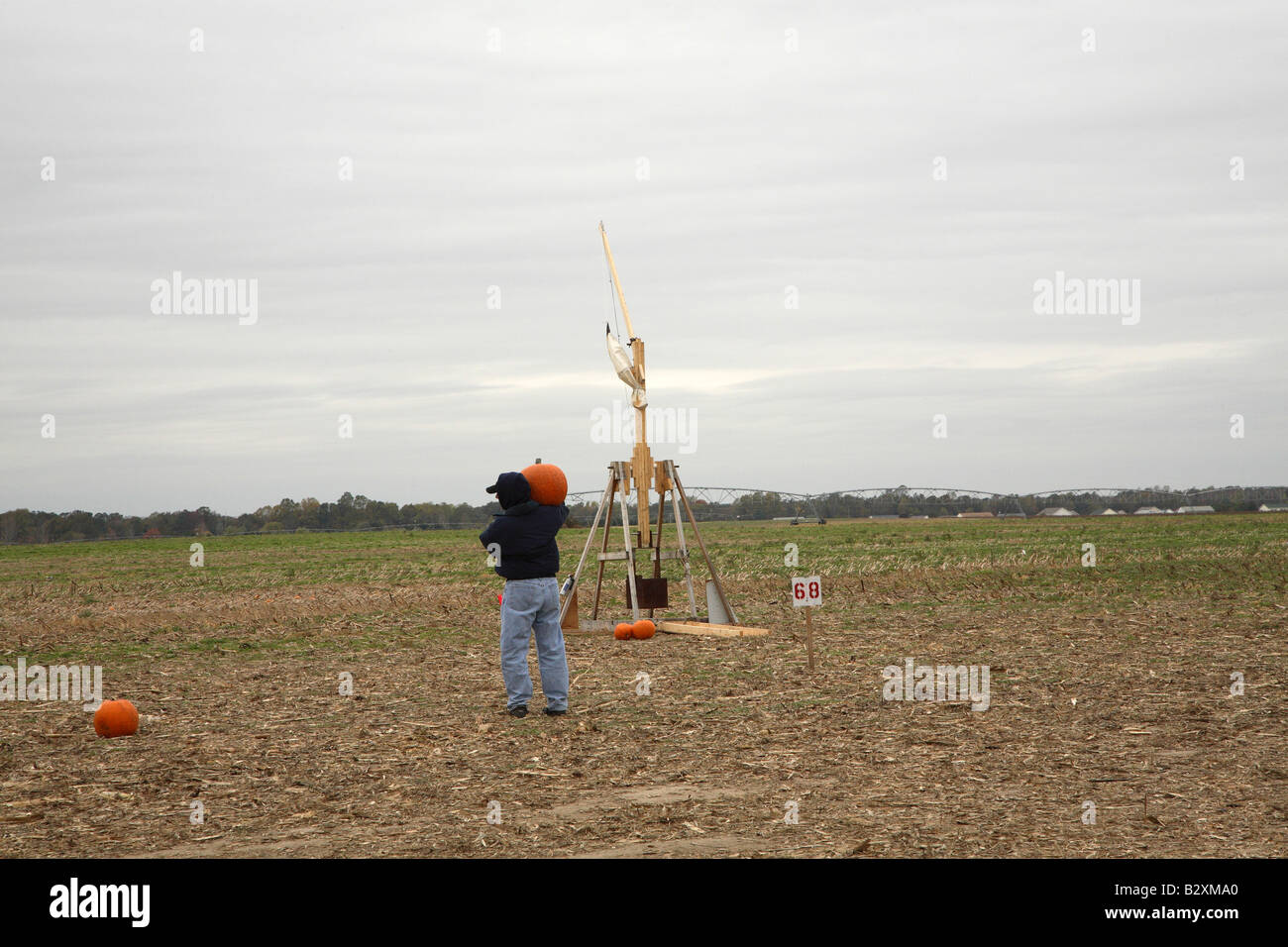 Small wooden trebuchet standing alone in a corn stubble field with few pumpkins at base Man carrying a large pumpkin on shoulder Stock Photo