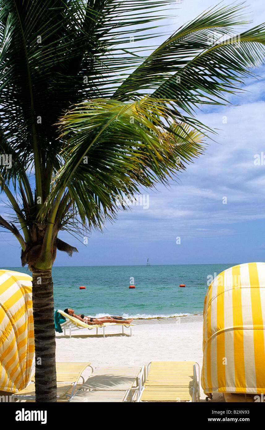 fisher island, miami, florida, usa Stock Photo Alamy