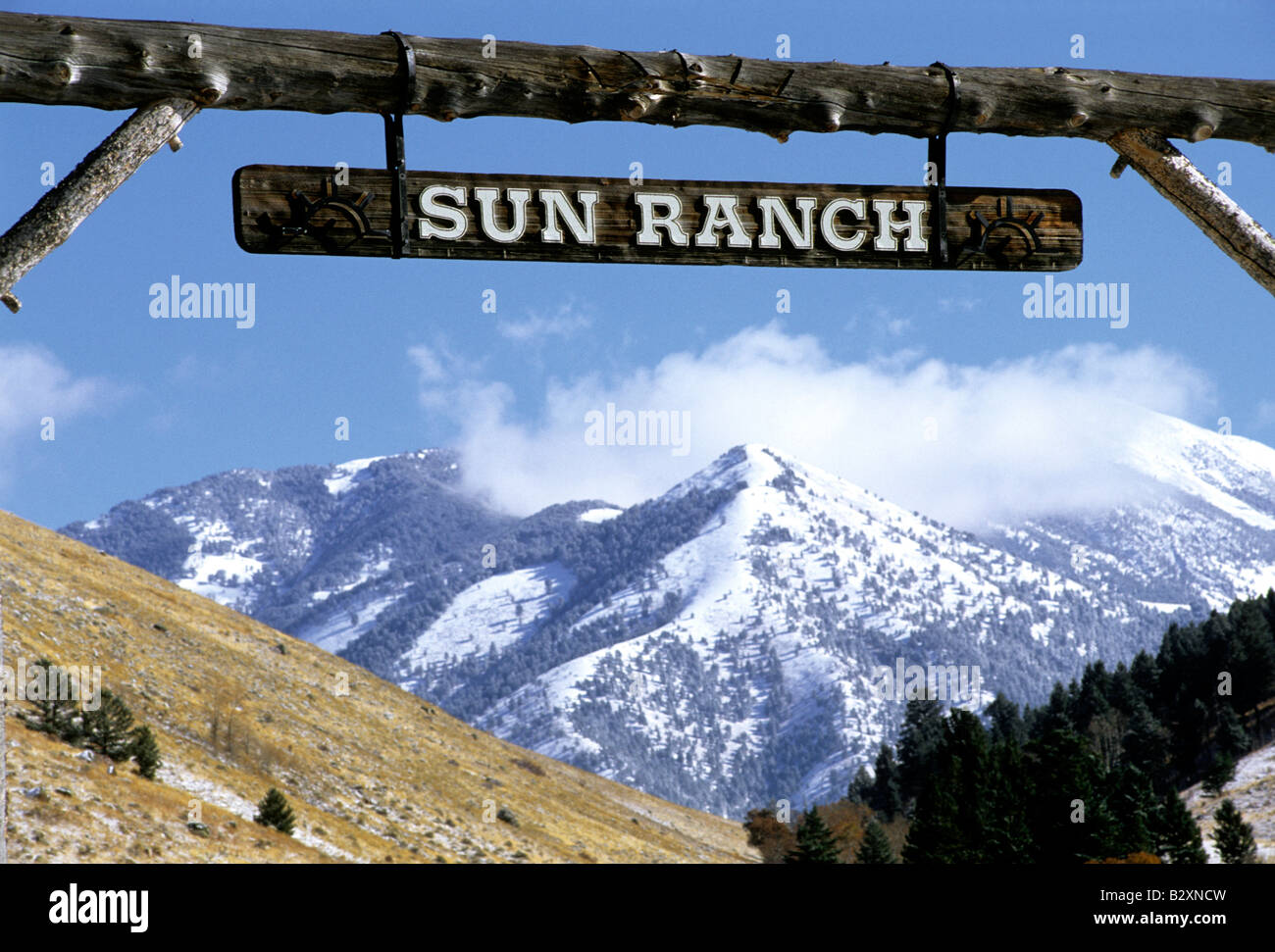 sun ranch, montana, usa Stock Photo Alamy