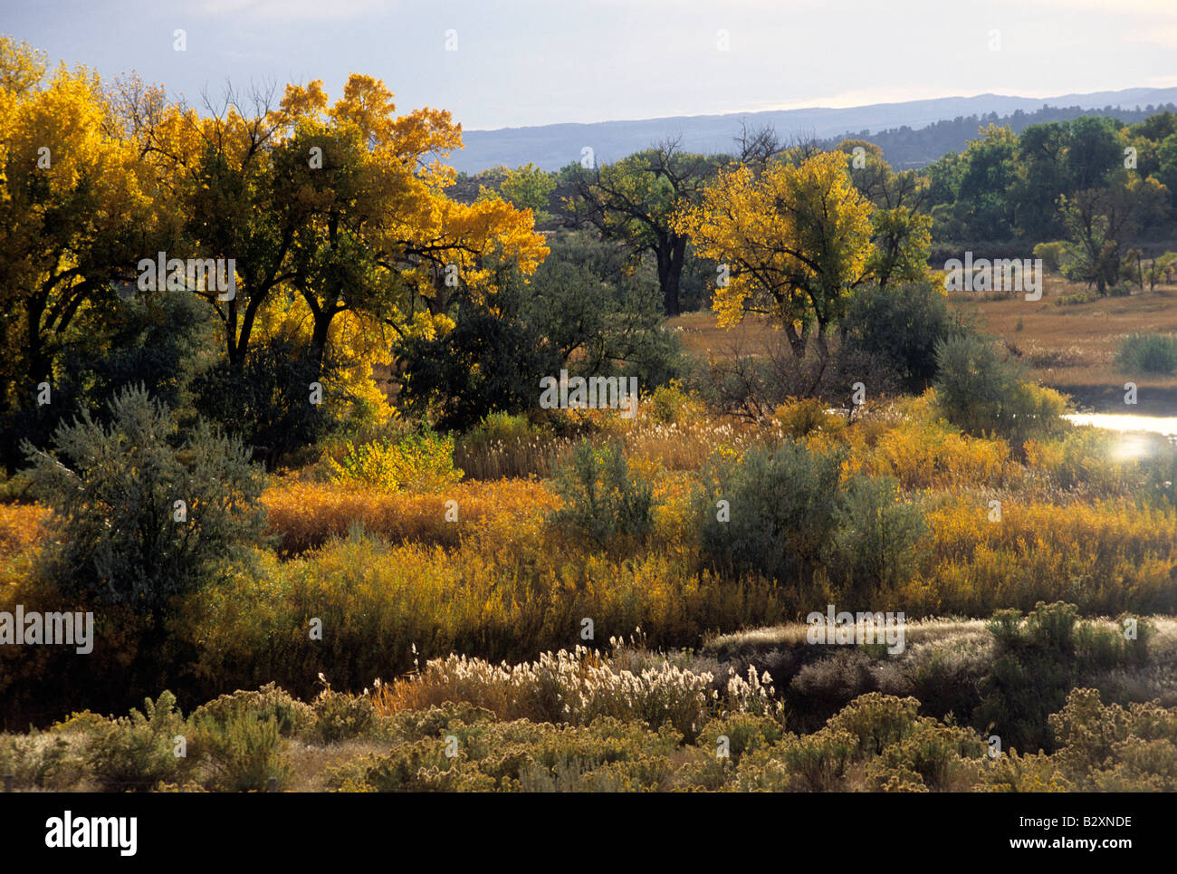 little bighorn river, montana, usa Stock Photo Alamy