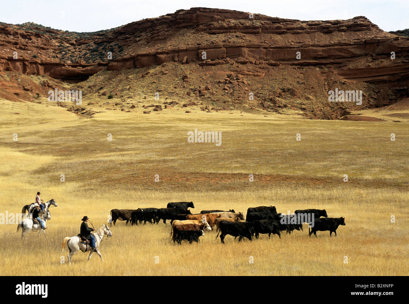 kaycee, wyoming, usa Stock Photo Alamy