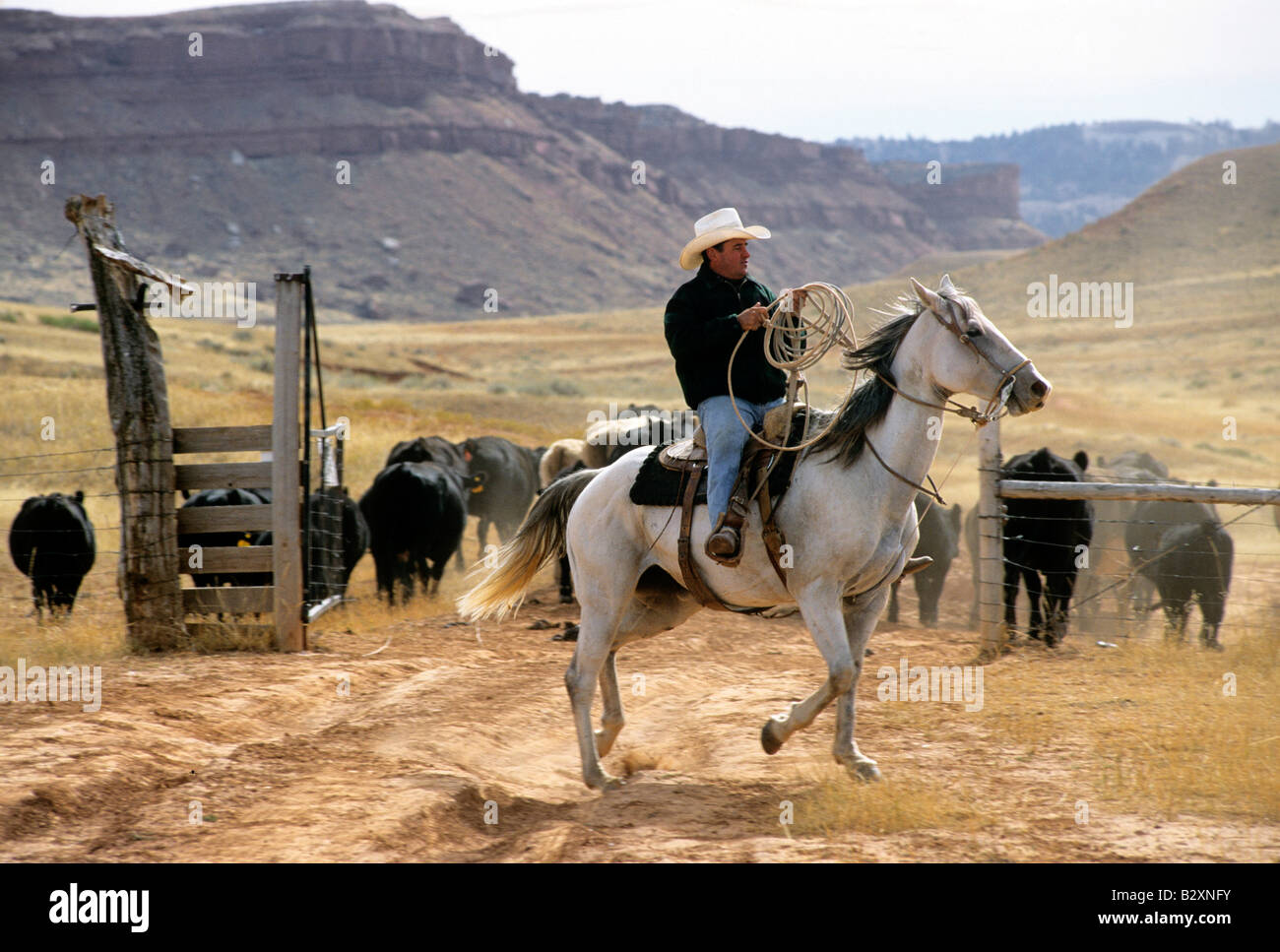 willow creek ranch, kaycee, wyoming, usa Stock Photo Alamy