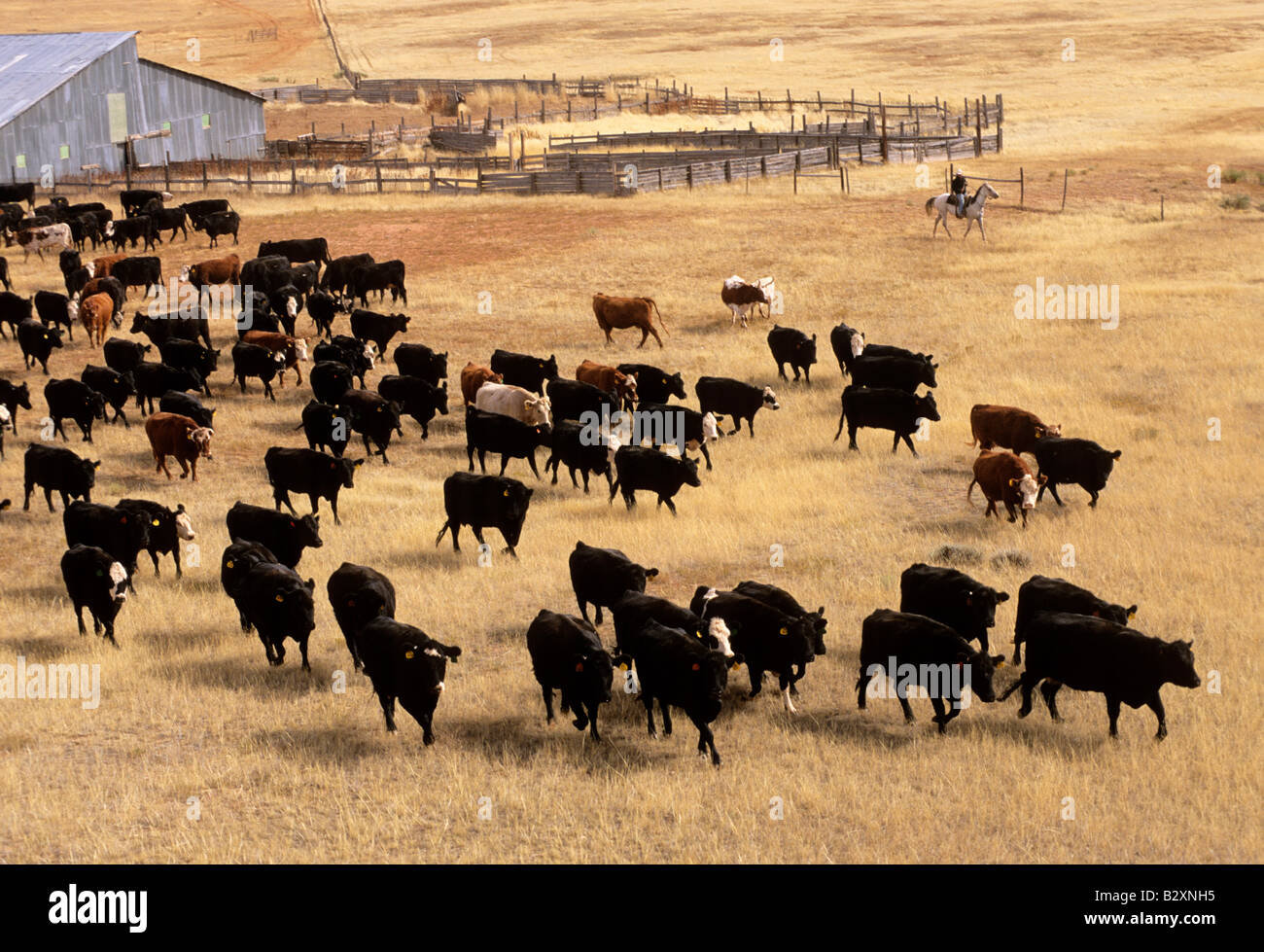 kaycee, wyoming, usa Stock Photo Alamy