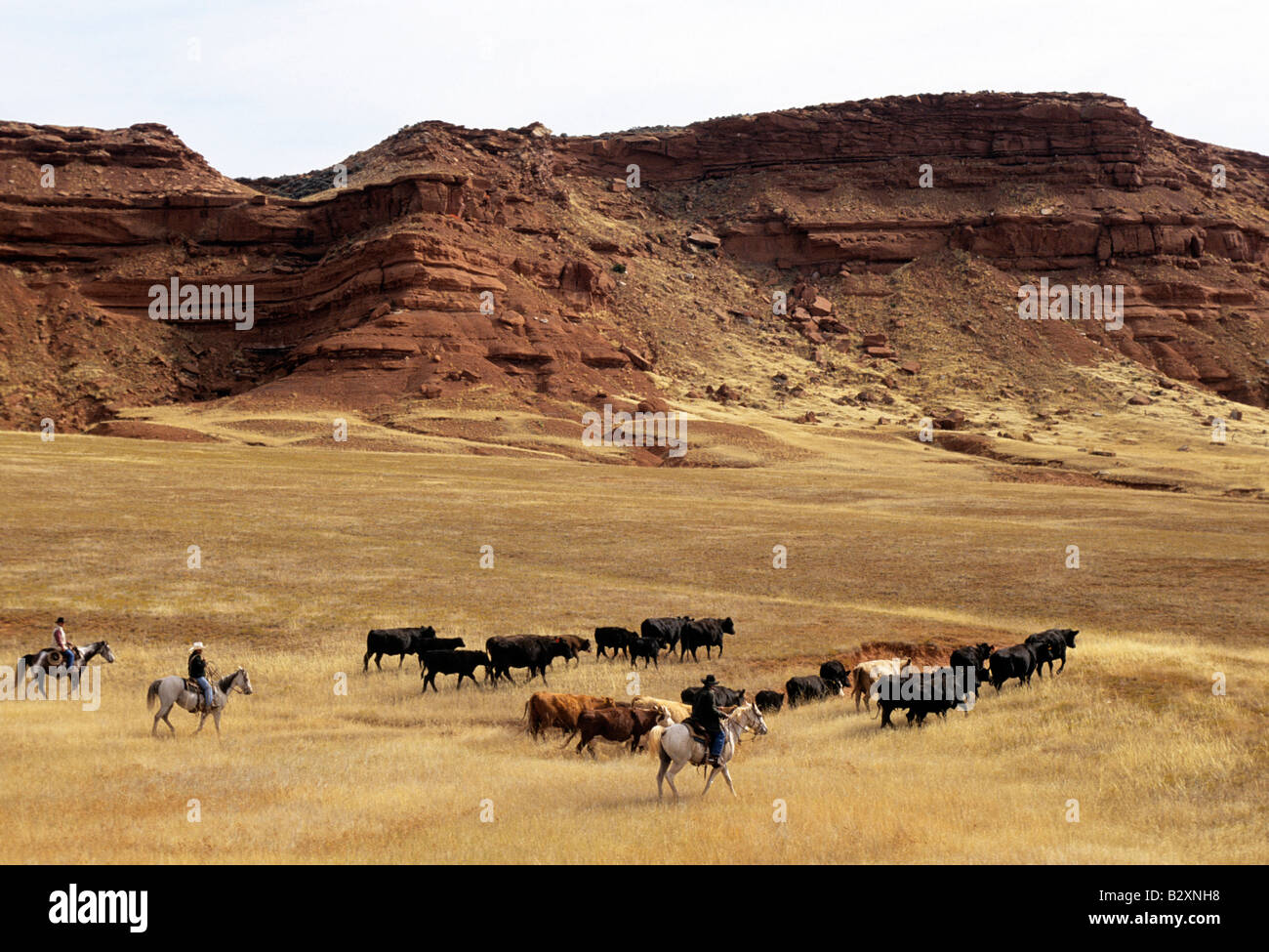 kaycee, wyoming, usa Stock Photo Alamy