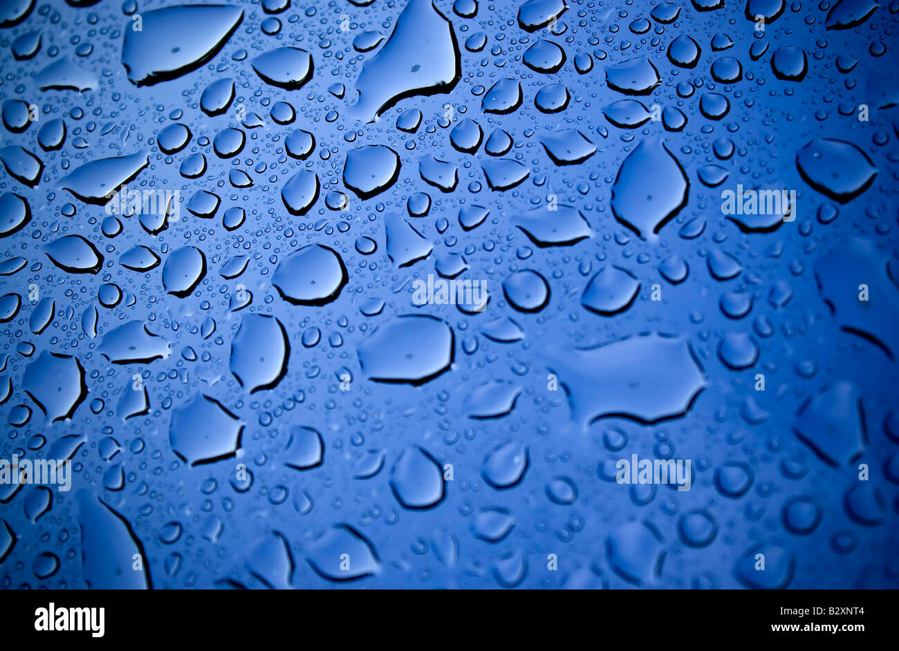 A macro of some beautiful water droplets over a blue background Shallow ...
