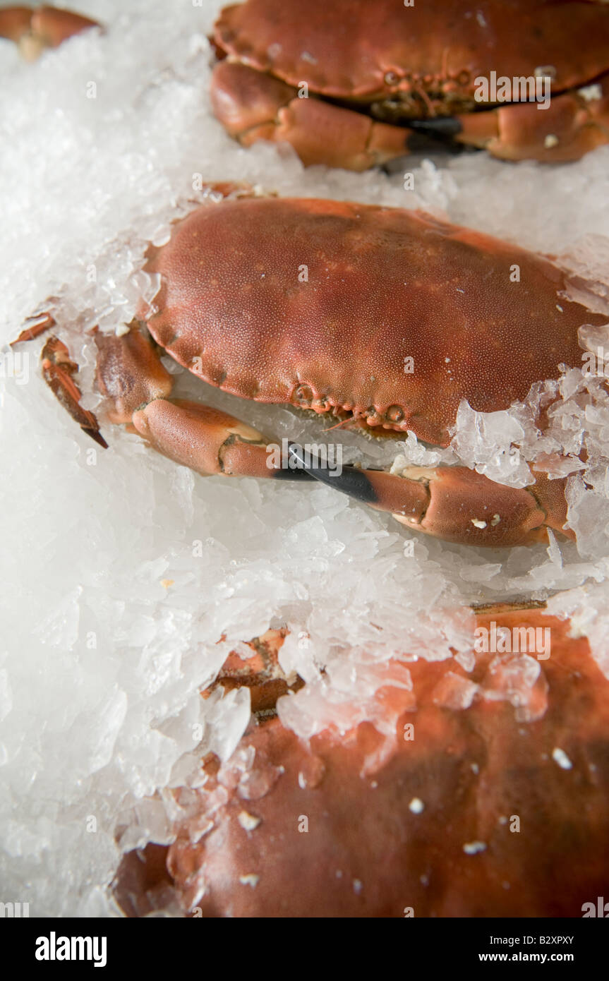 Fresh crab for sale hi-res stock photography and images - Alamy