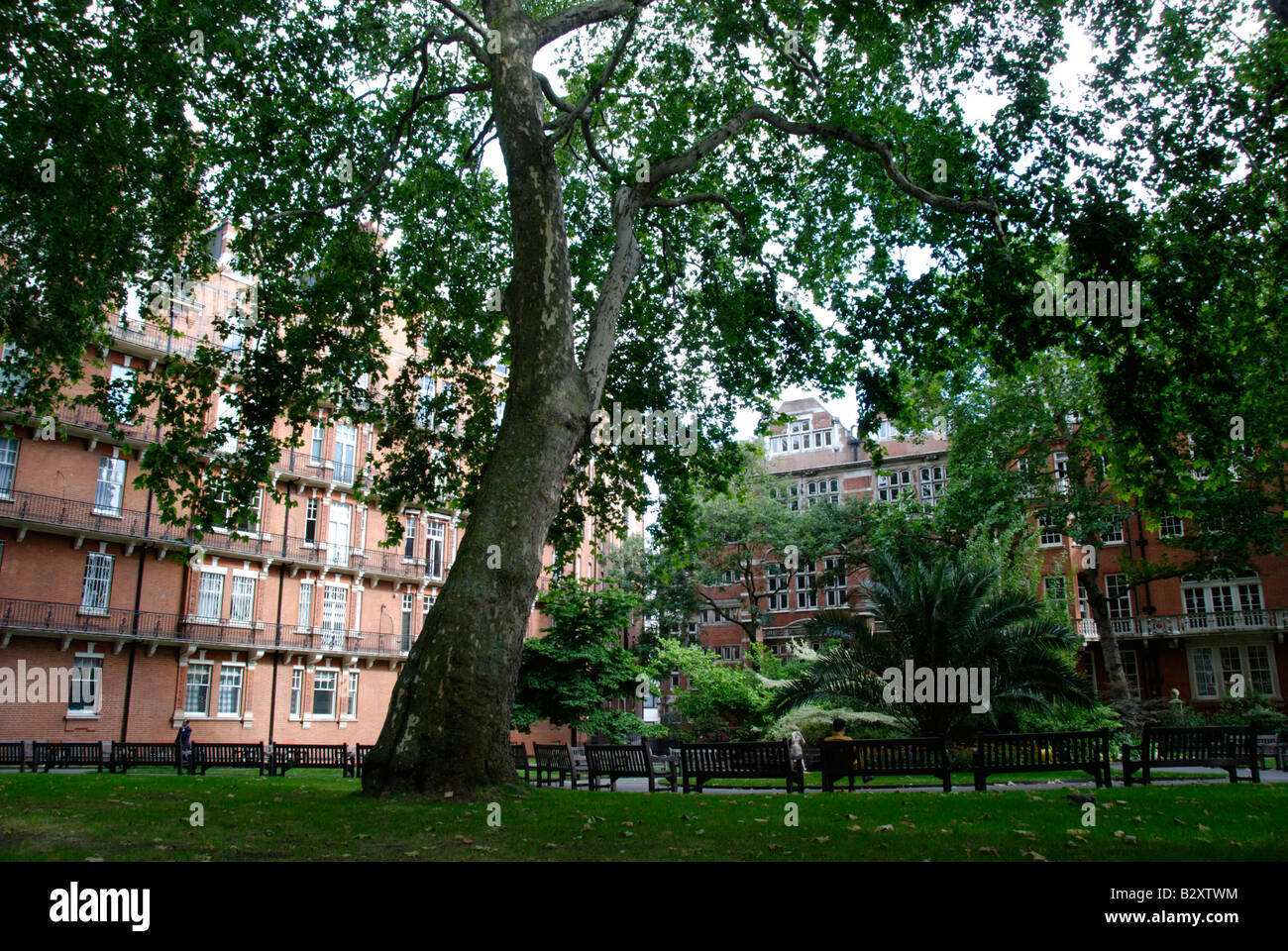 Mount Street Gardens Mayfair London England Stock Photo Alamy