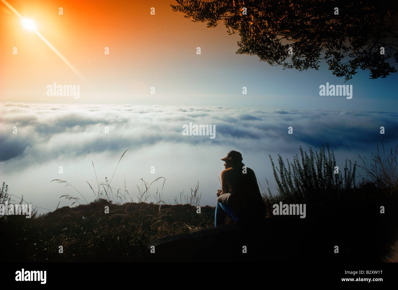Man sitting alone on mountain top in Laguna Beach, California at sunrise Stock Photo