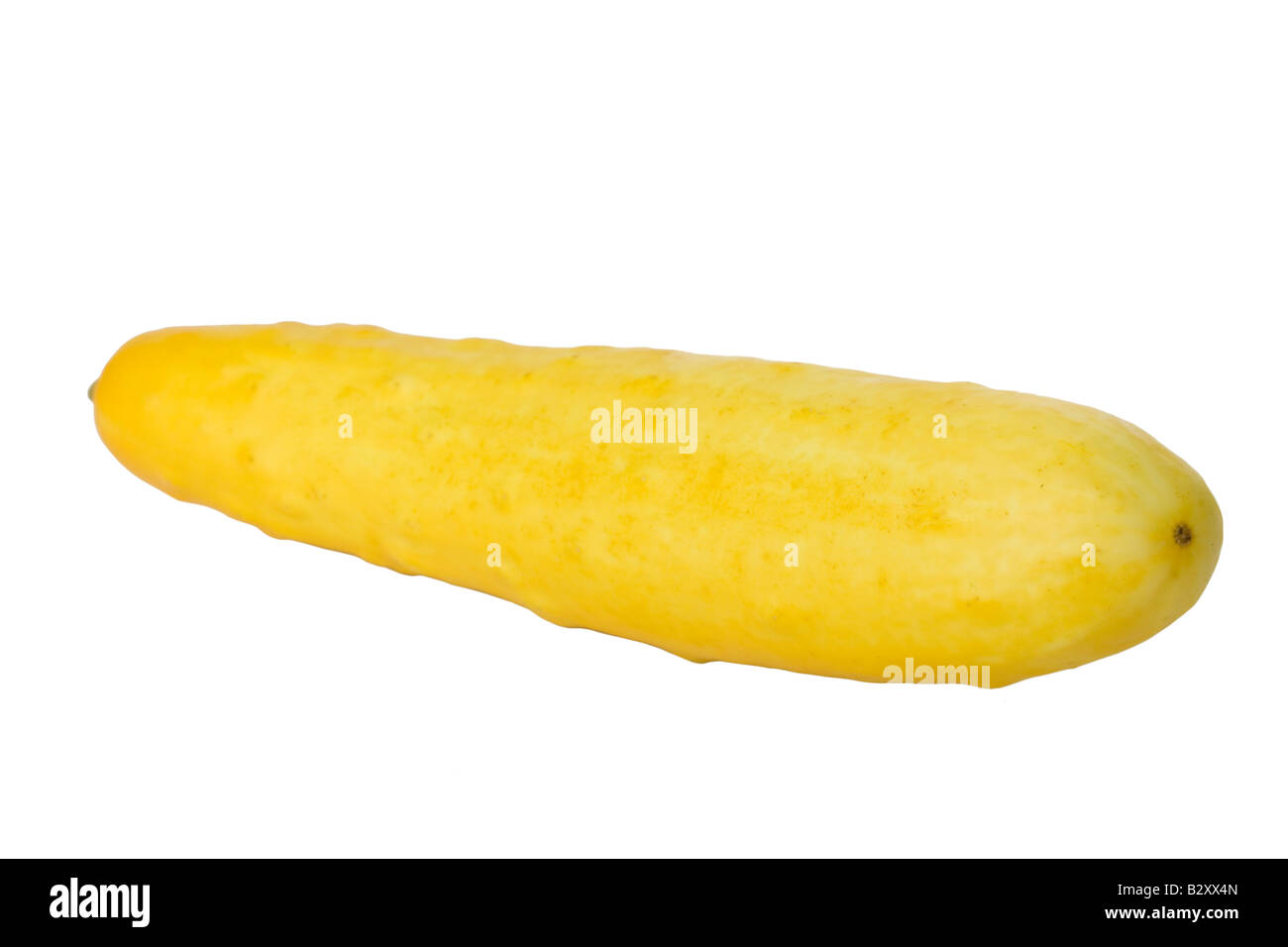 Ripe cucumber isolated on a white background Stock Photo