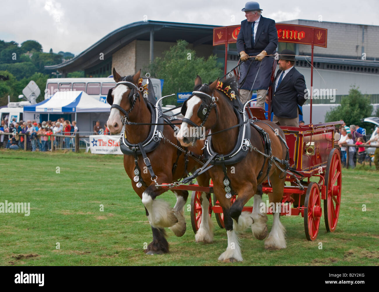 Shire Horses at Bakewell Show Derbyshire Stock Photo