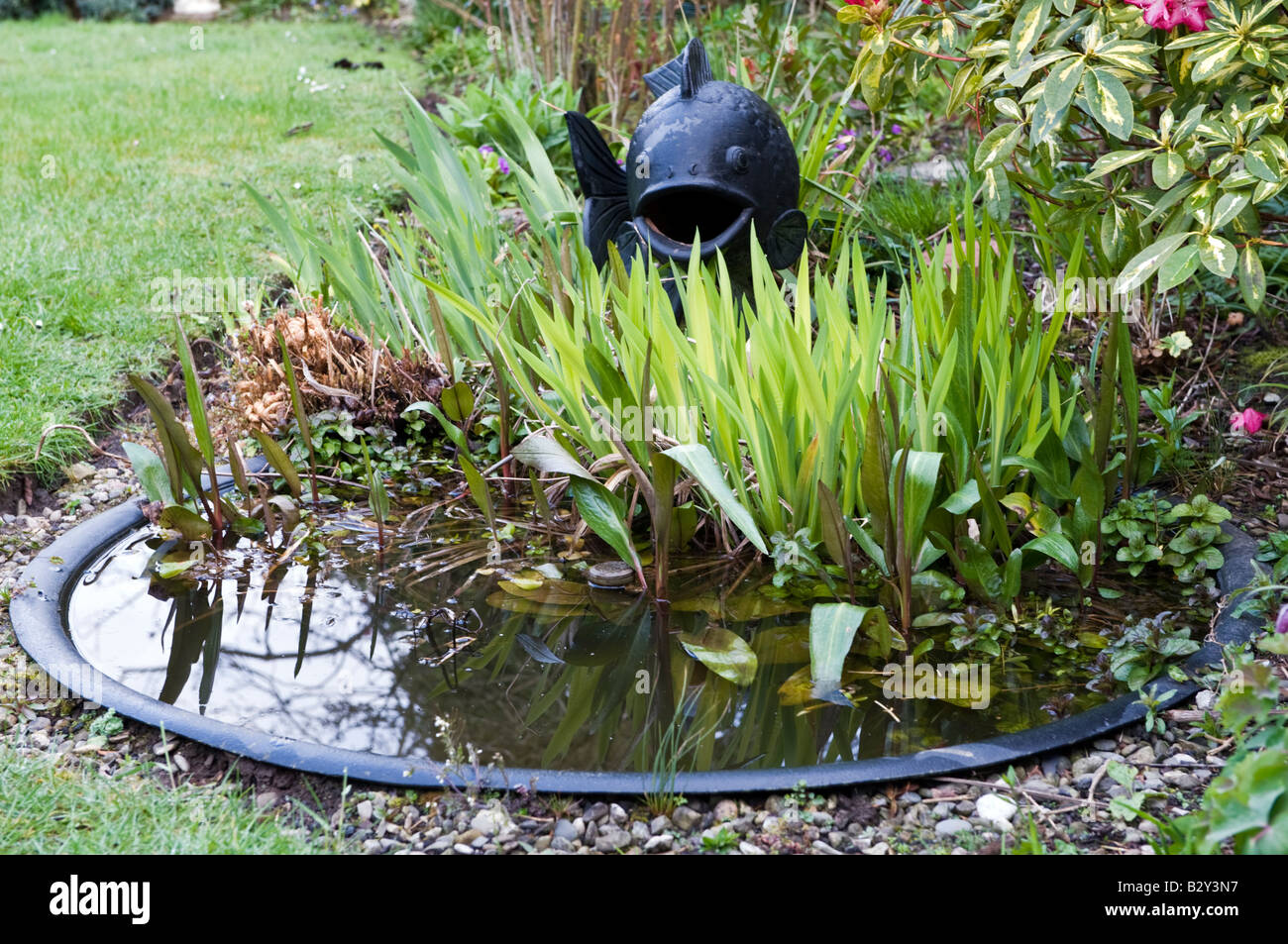 Small pond in garden Stock Photo