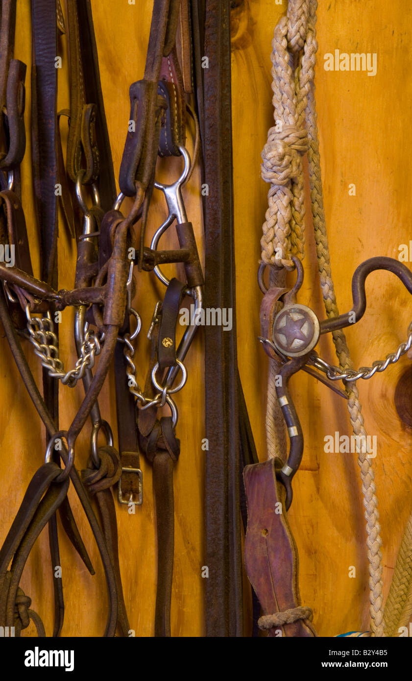Traditional Riding Gear The cowboy life in the USA West riding gear for horses Stock Photo - Alamy