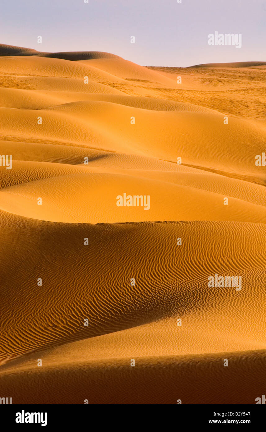 Sam Sand Dunes, Great Thar Desert, Rajasthan, India, Subcontinent, Asia ...
