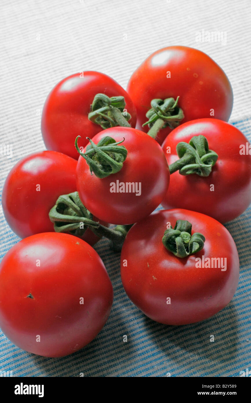 Ferline Ferline Tomato High Resolution Stock Photography and Images - Alamy
