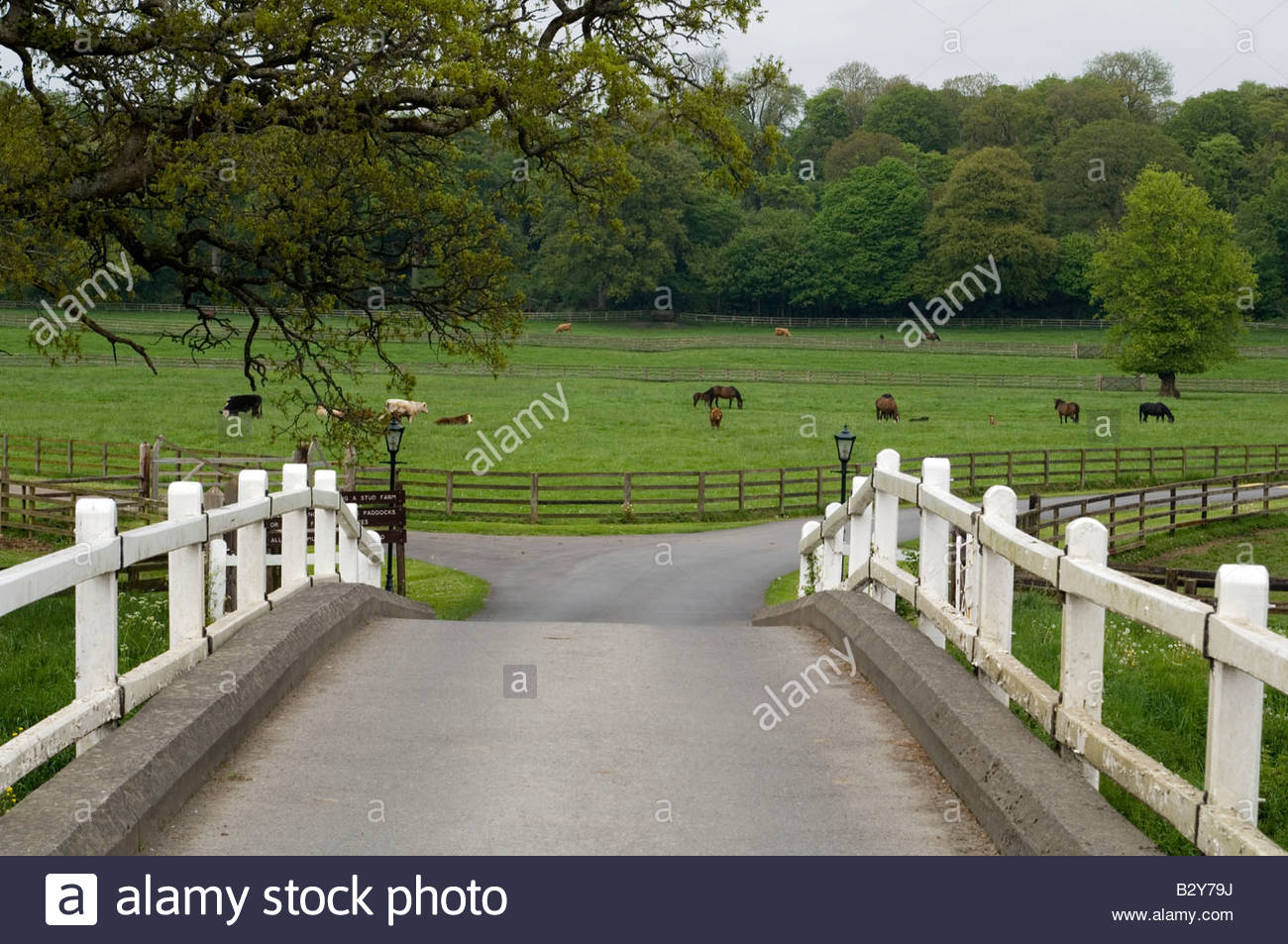 Mount Juliet Kilkenny High Resolution Stock Photography and Images Alamy