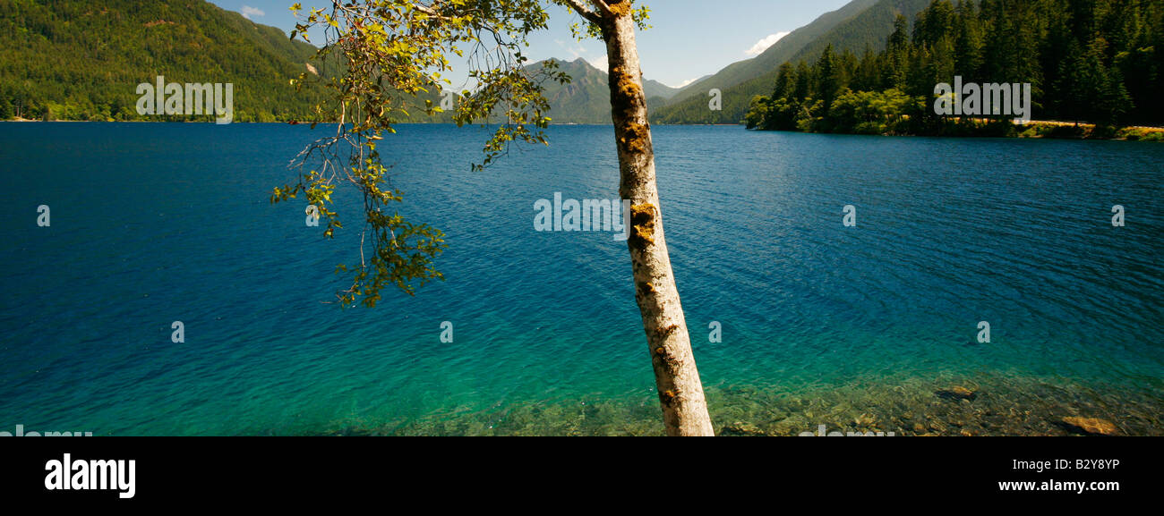 Lake crescent olympic peninsula washington