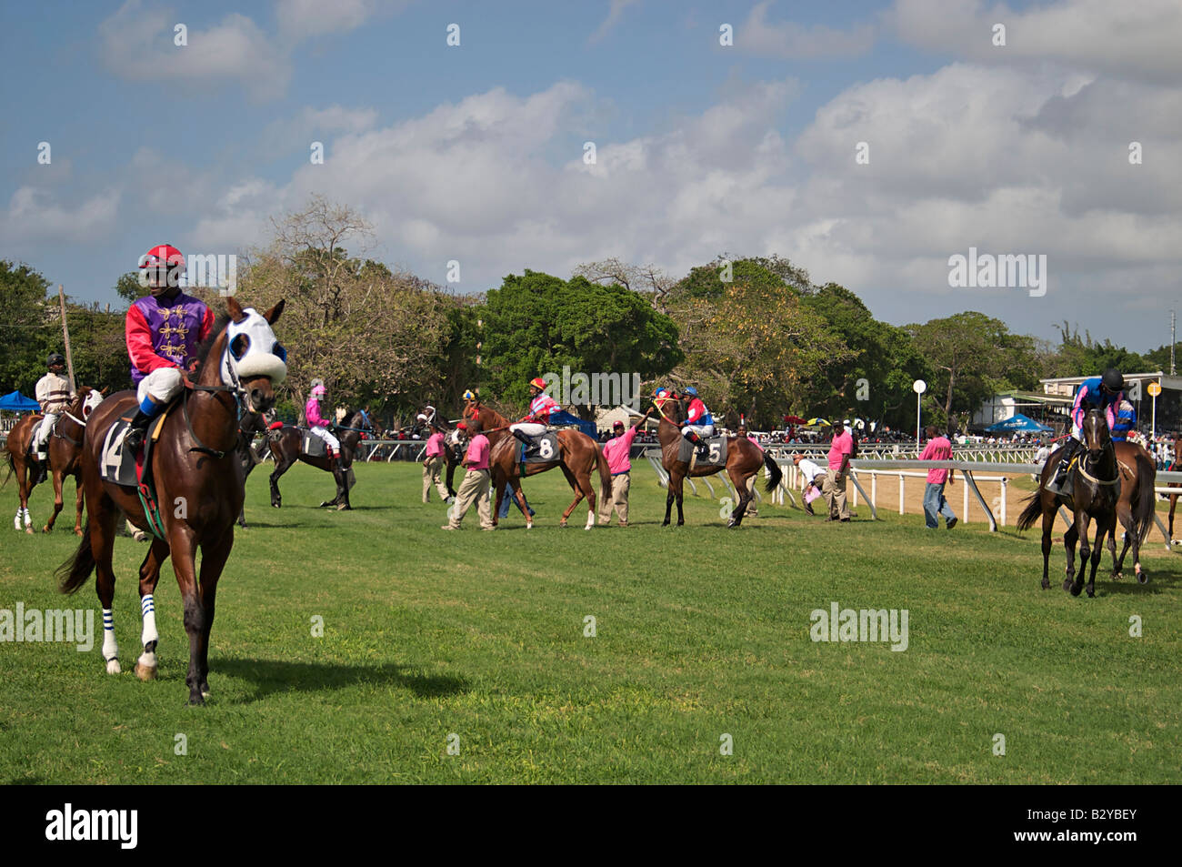 2006 Barbados horse racing, Sandy Lane Gold Cup in Garrison Savannah