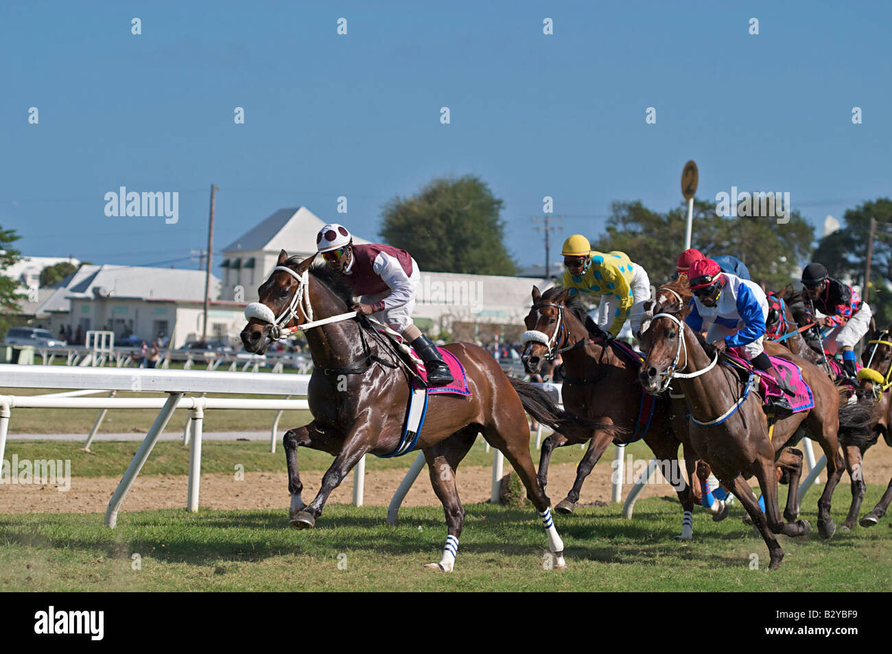 Garrison savannah racetrack in barbados hires stock photography and