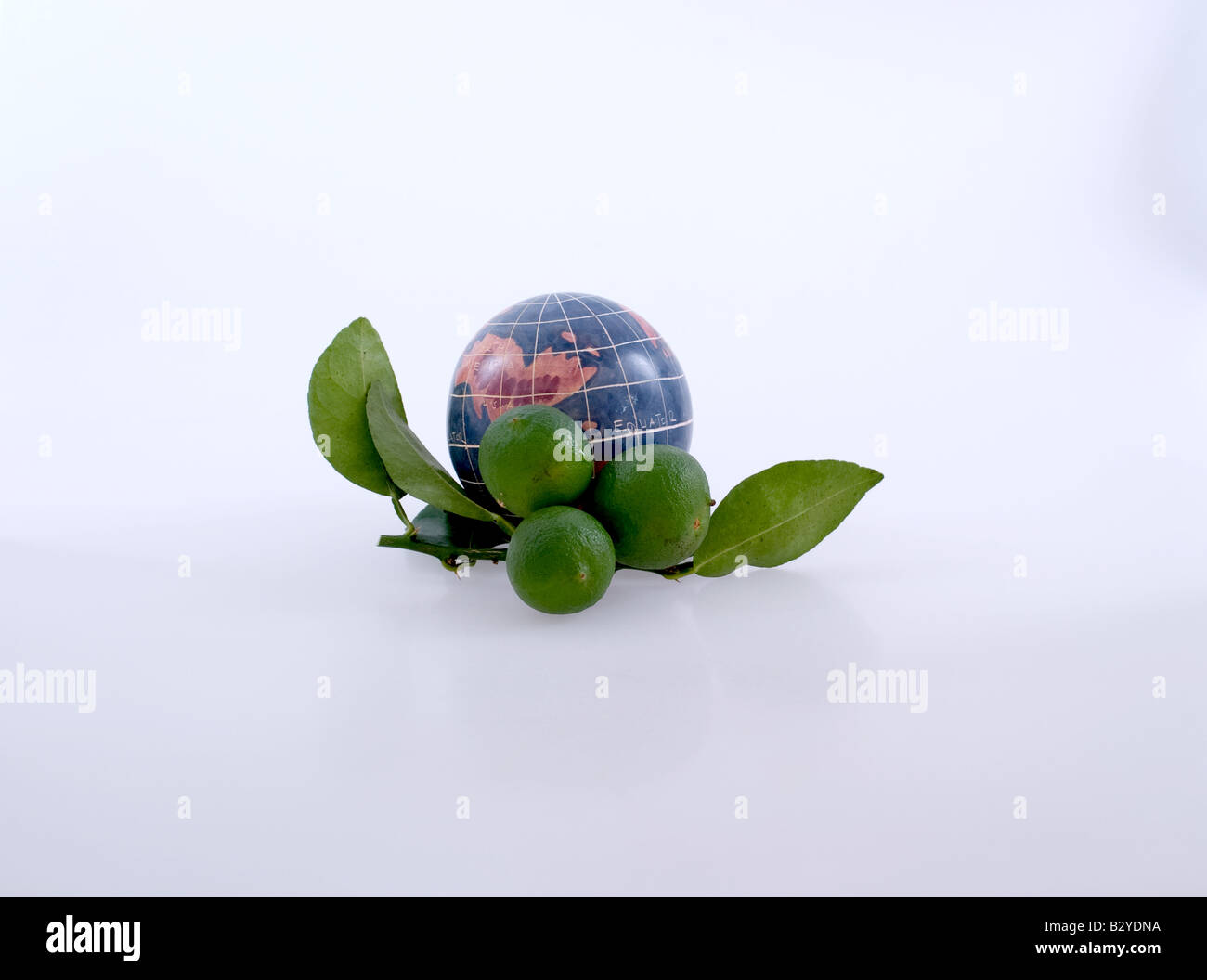 Representation of the world atop a key lime tree branch and fruit. Stock Photo