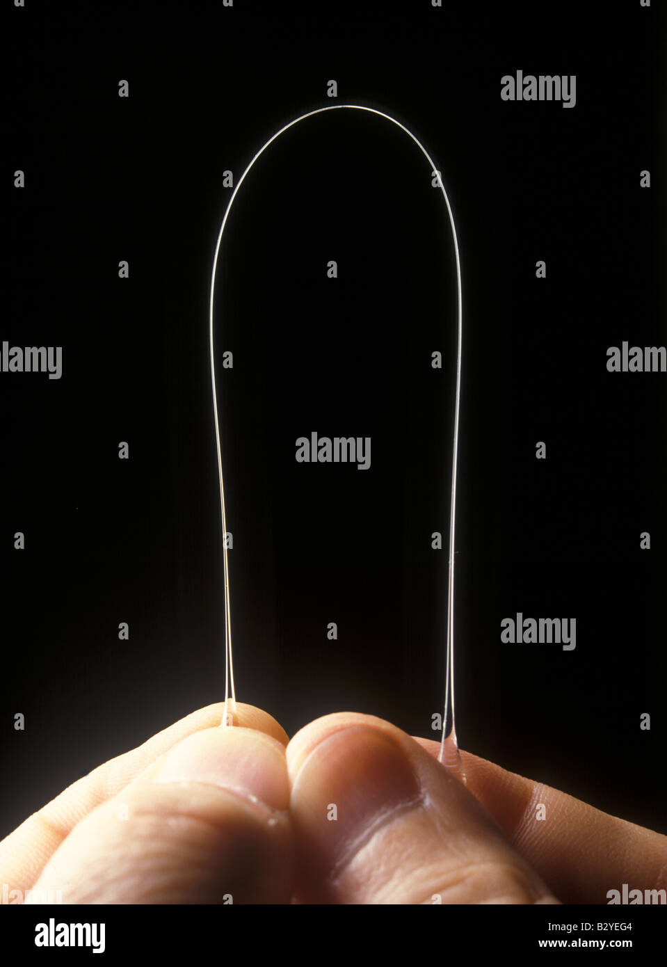 Glass fibre is very flexible Stock Photo