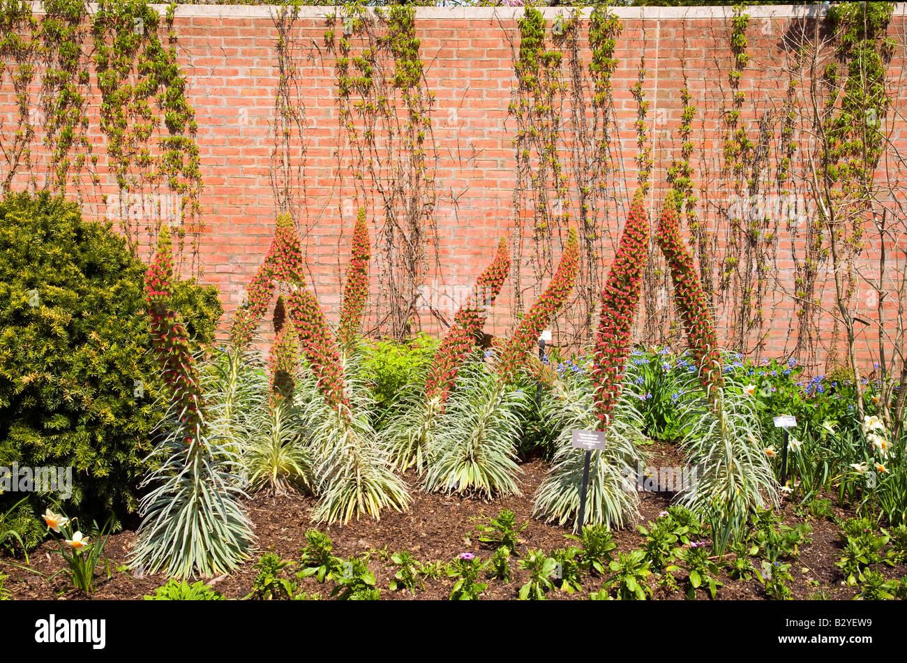 Tower of Jewels Plants Stock Photo