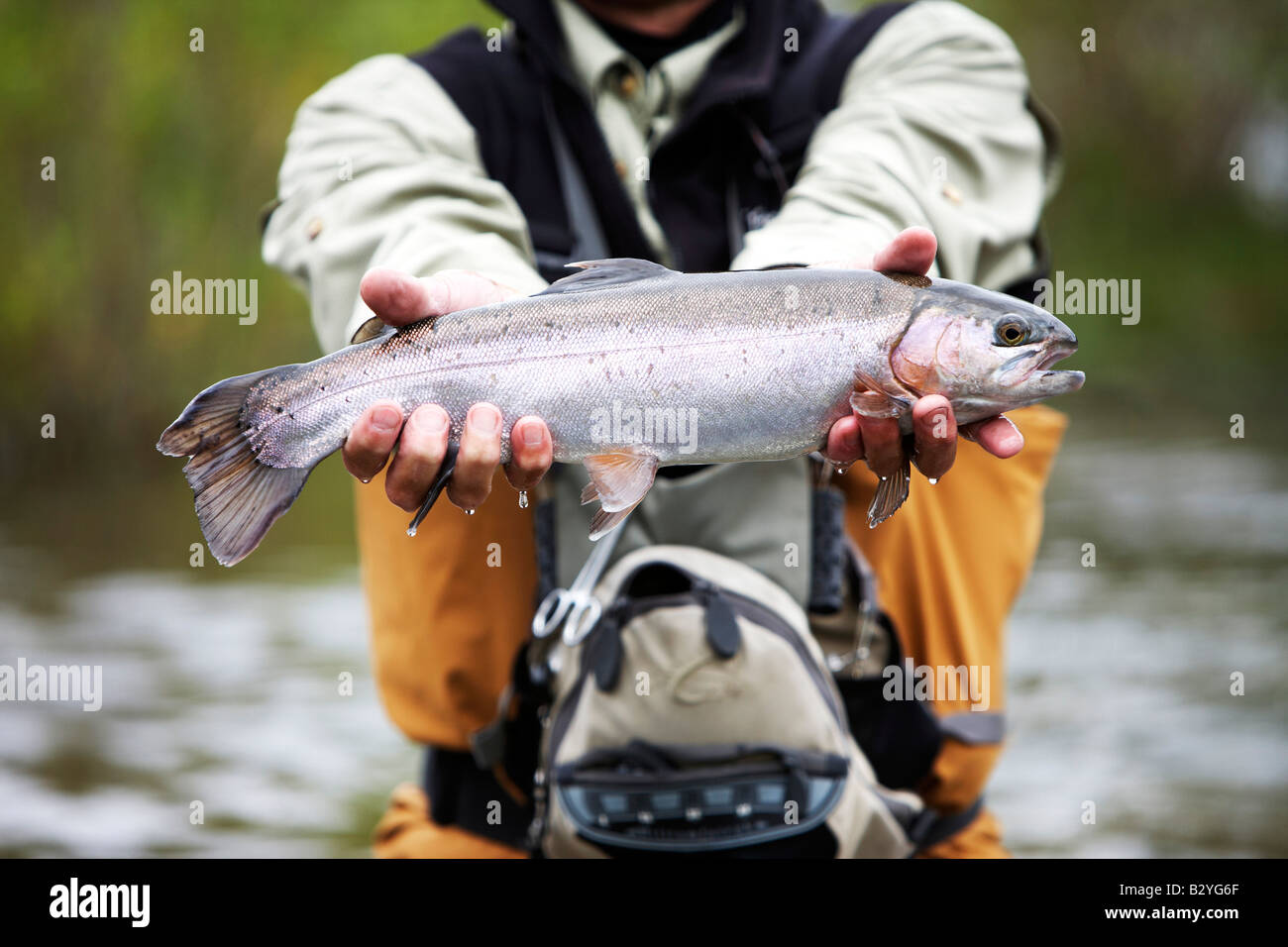 Horizontal close up of a man holding a trout while standing in a river. Stock Photo