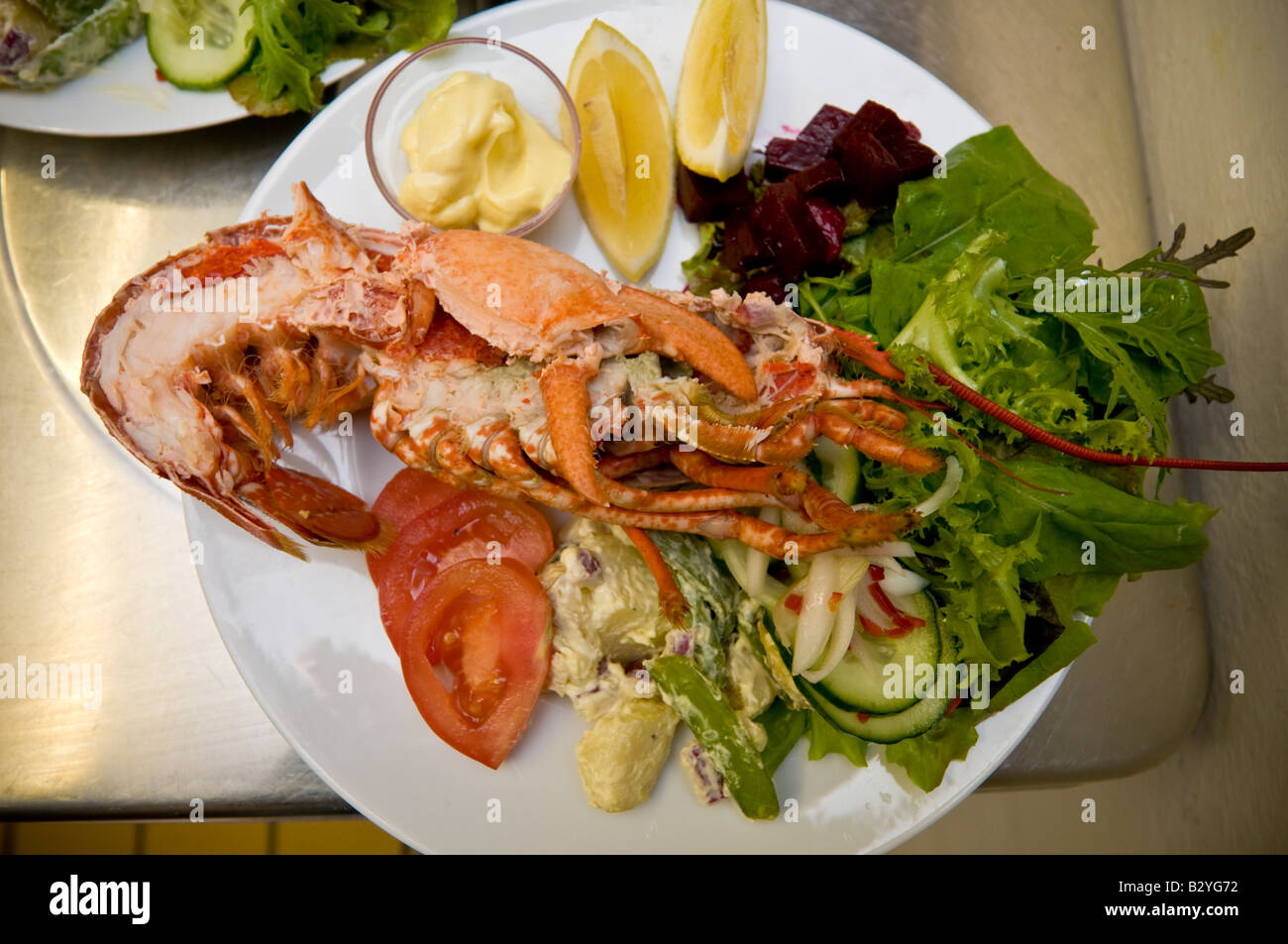 Platter of cardigan bay fresh lobster salad in the Hive on the Quay