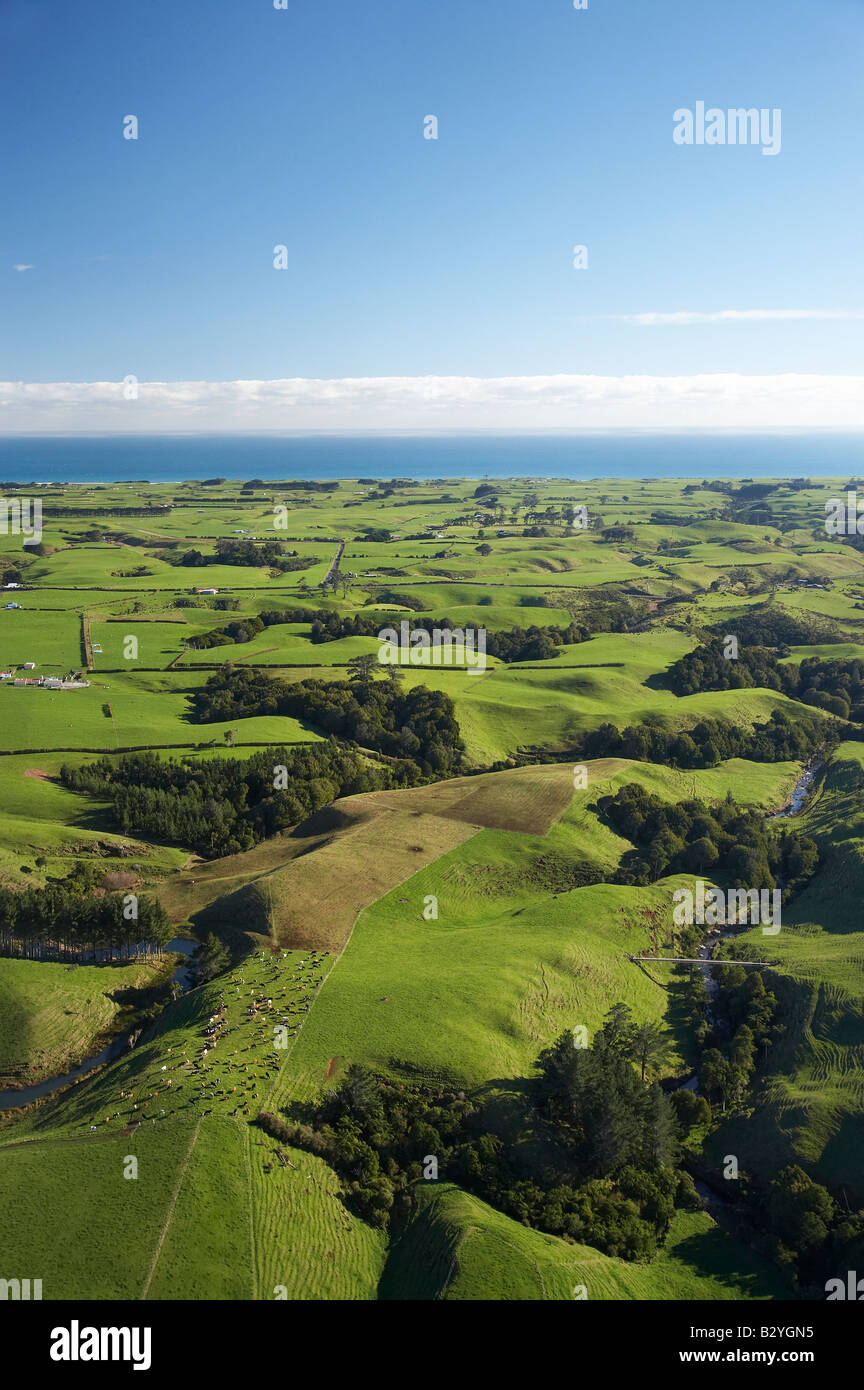 Farmland near Okato Taranaki North Island New Zealand aerial Stock Photo Alamy