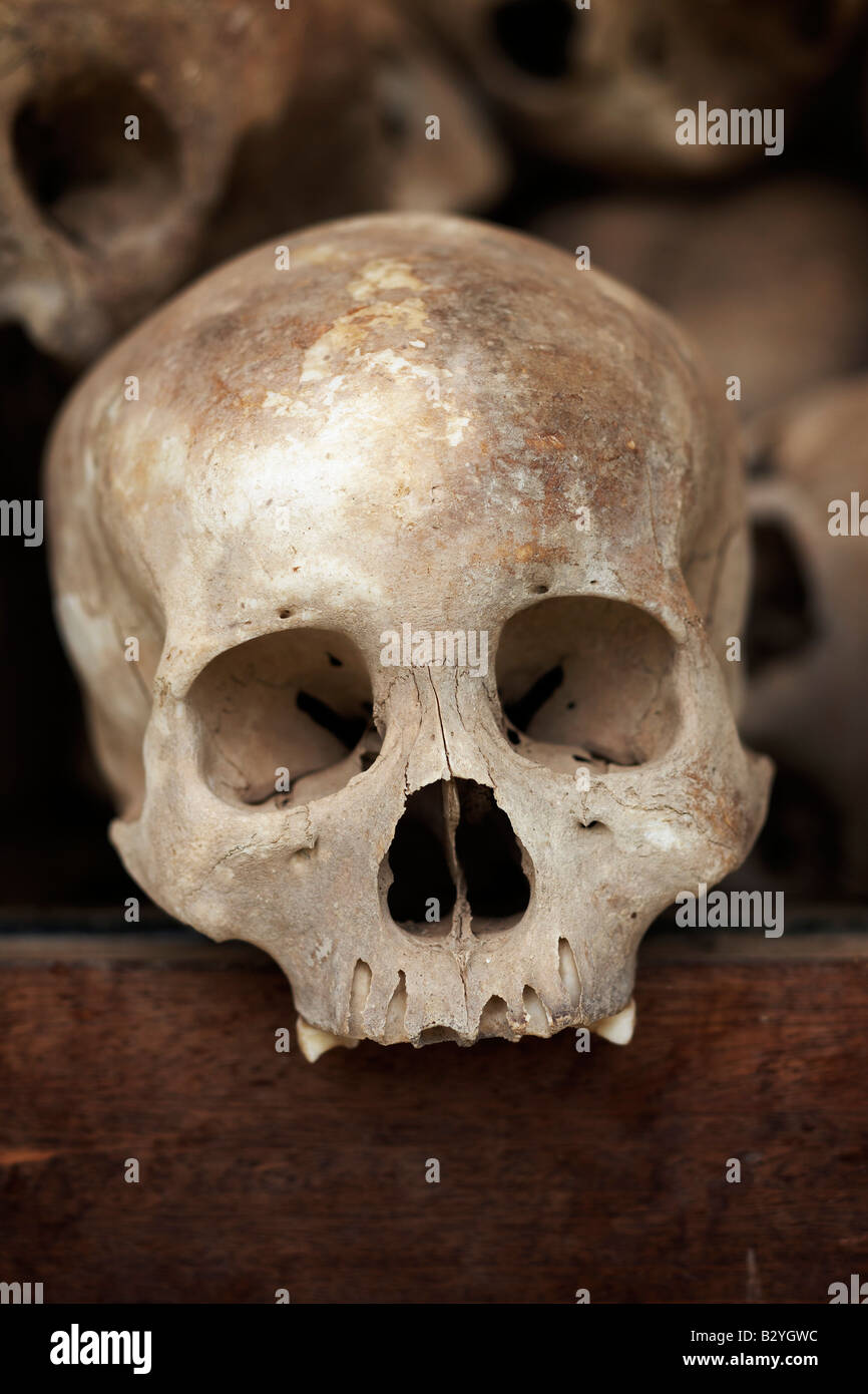 Close up image of a human skull with other skulls in background. Stock Photo
