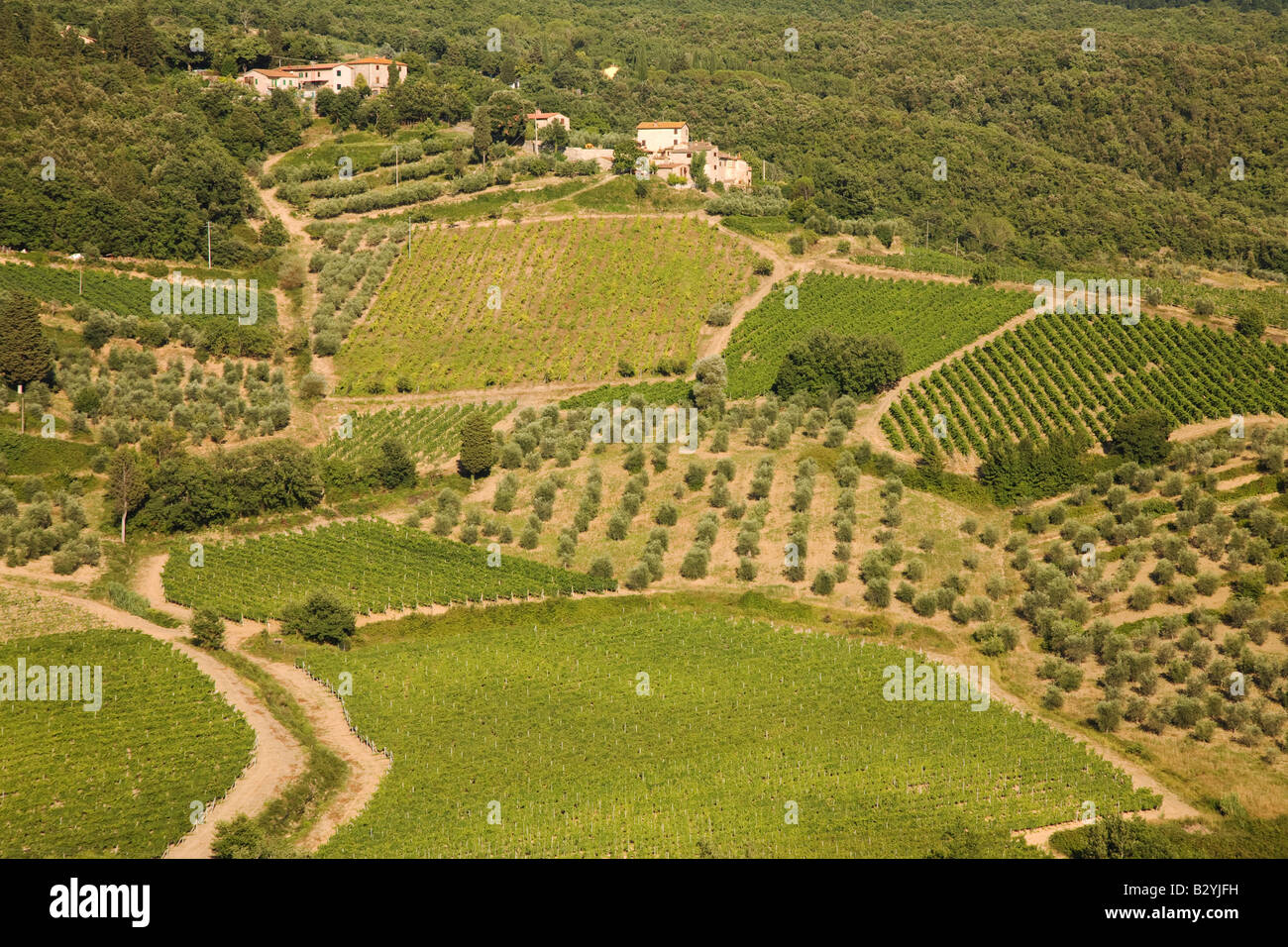Wine growing country in Chianti, Tuscany, Italy Stock Photo