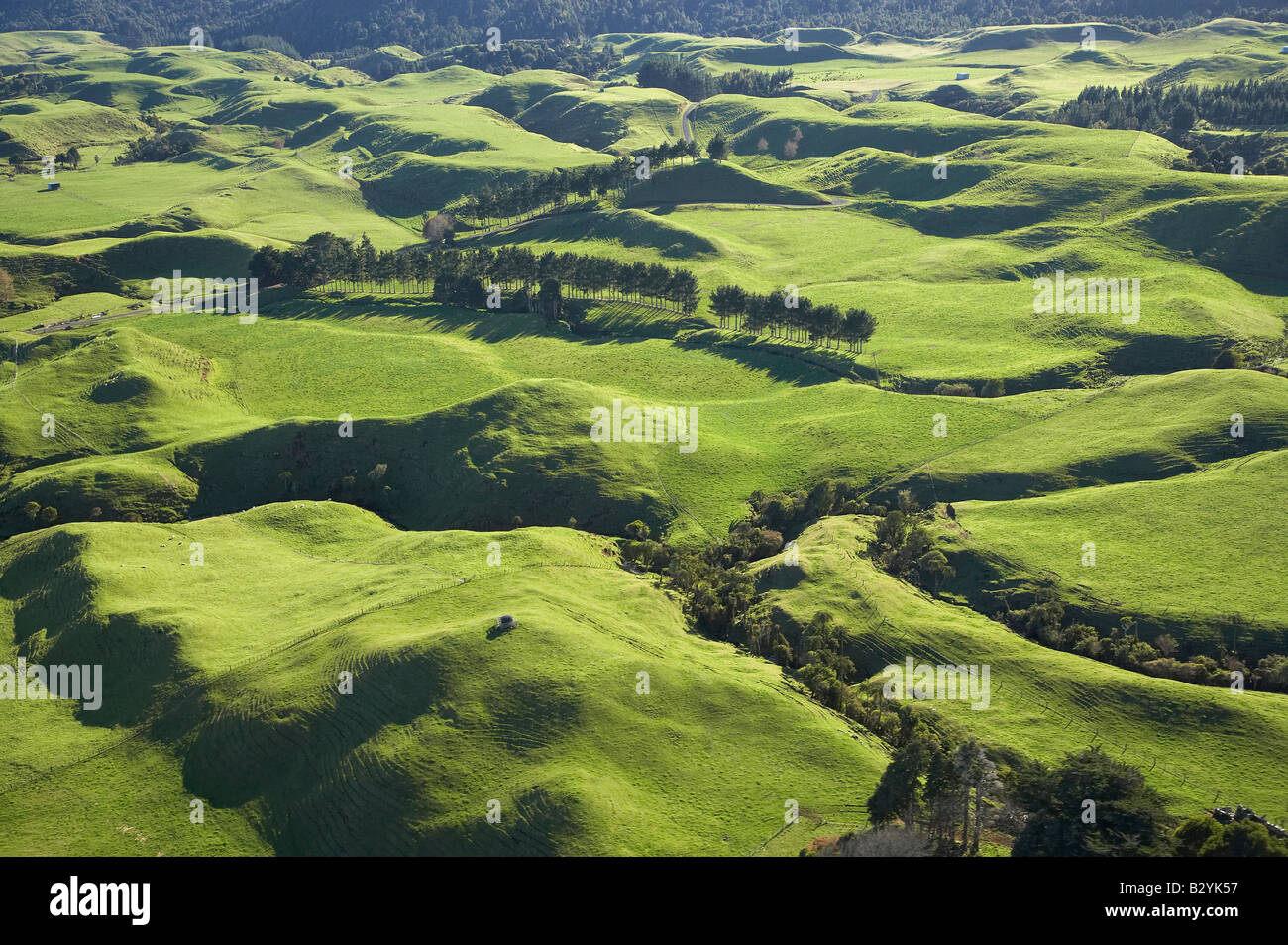 Farmland near Okato Taranaki North Island New Zealand aerial Stock Photo Alamy