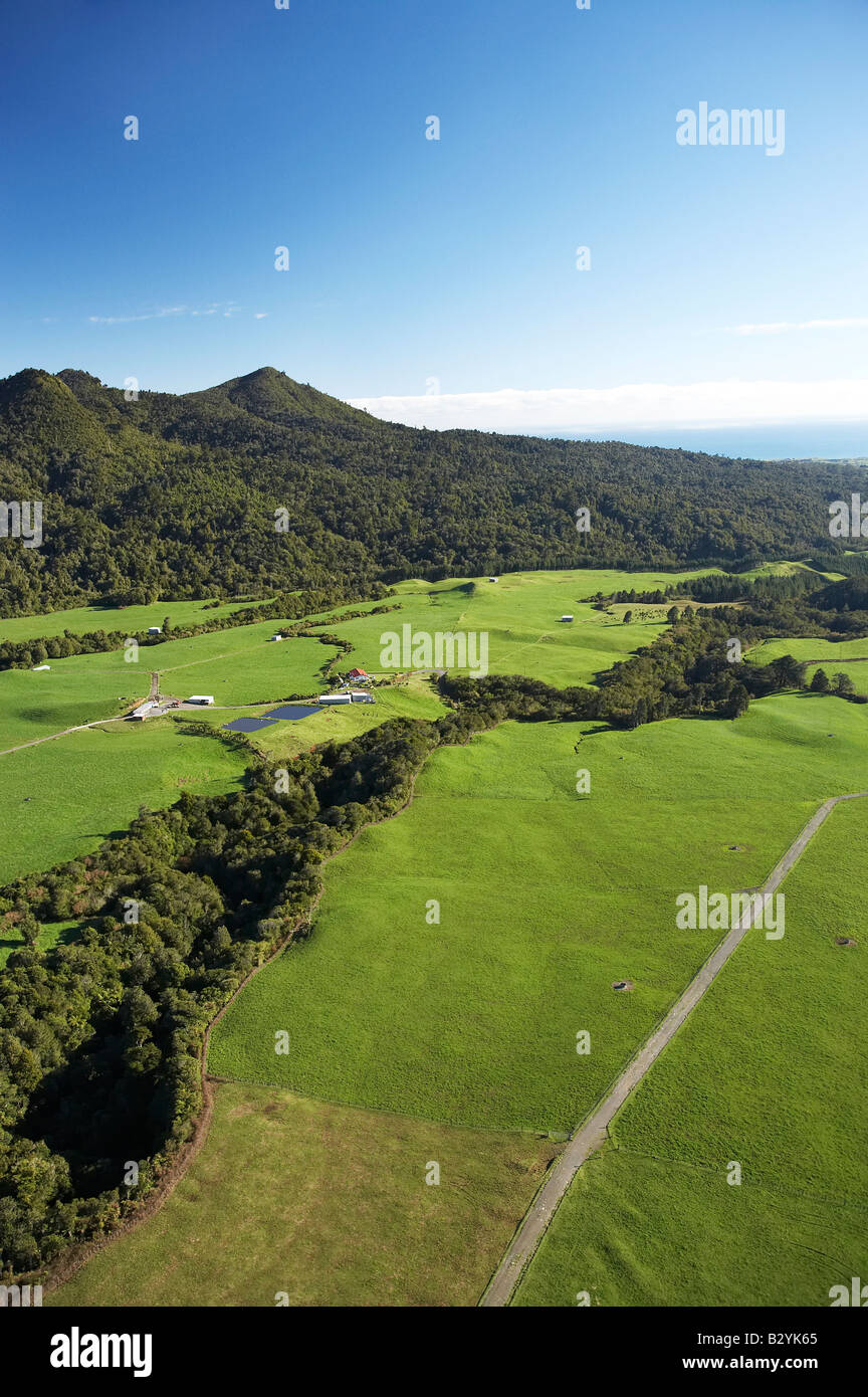 Kaitake hi-res stock photography and images - Alamy