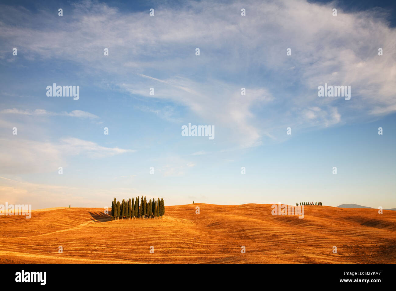 Typical cypress trees hi-res stock photography and images - Alamy
