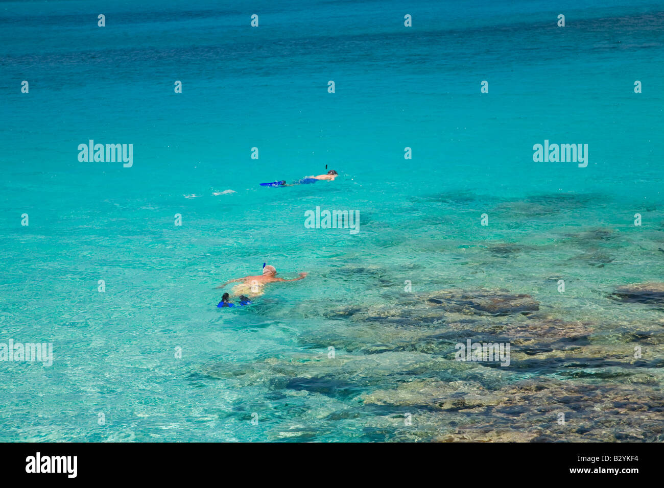 Snorkeling in Cinnamon Bay in the Virgin Islands National Park on the Caribbean island of St