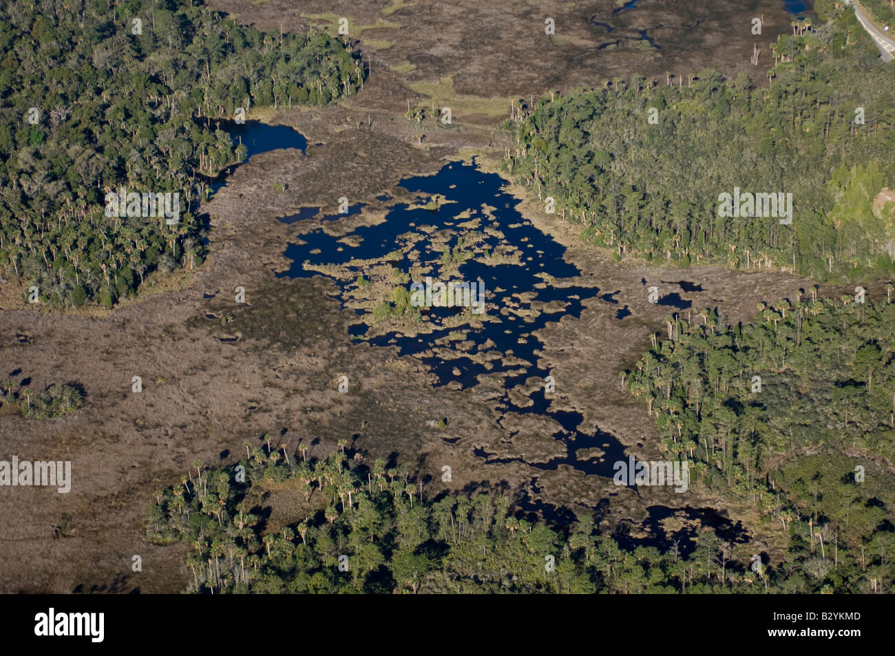 Crystal river florida aerial hires stock photography and images Alamy