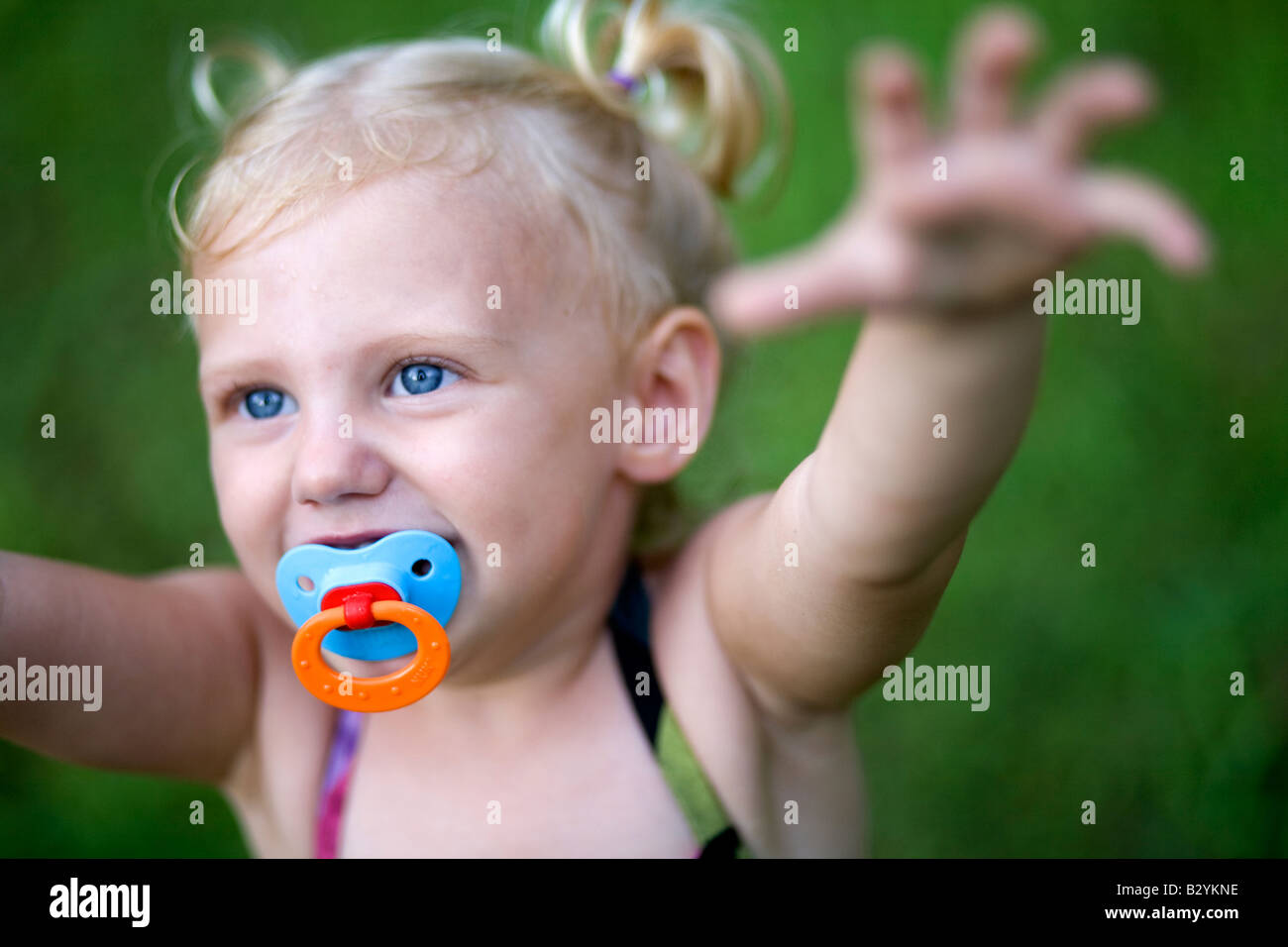 A two-year-old girl with a pacifier and pig tails reaches up while playing outdoors. Stock Photo