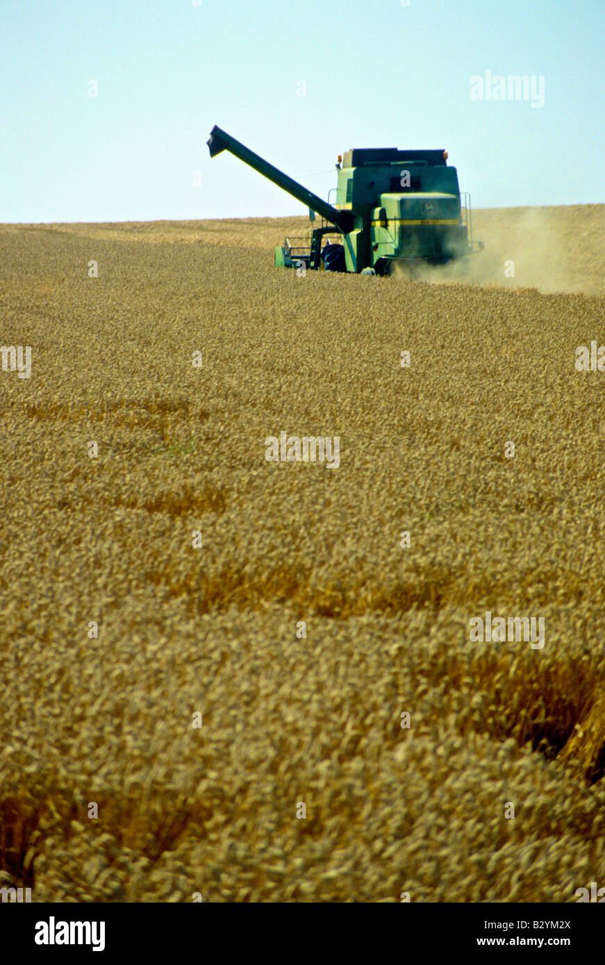 Horses harvesting grain hi-res stock photography and images - Alamy