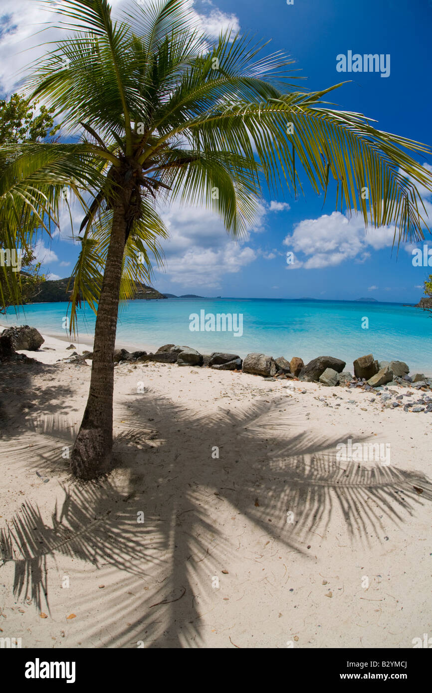 Cinnamon Bay Beach in the Virgin Islands National Park on the Caribbean