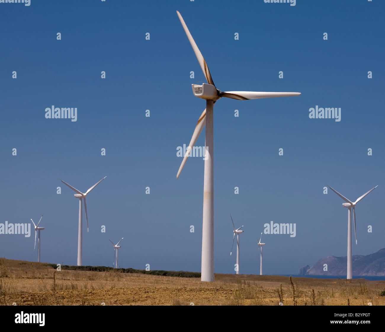 wind turbines farm alternative energy source Stock Photo
