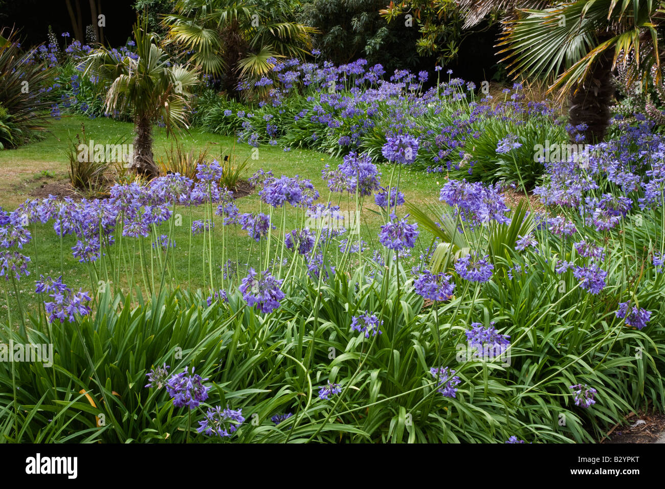 Ventnor Botanic Gardens, Isle of Wight, UK Stock Photo