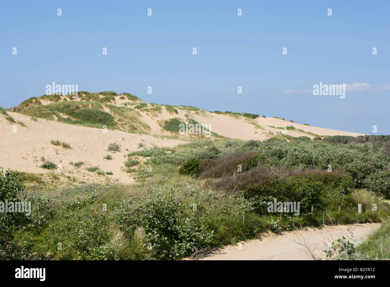 Large sand dunes at Formby, merseyside, UK Stock Photo