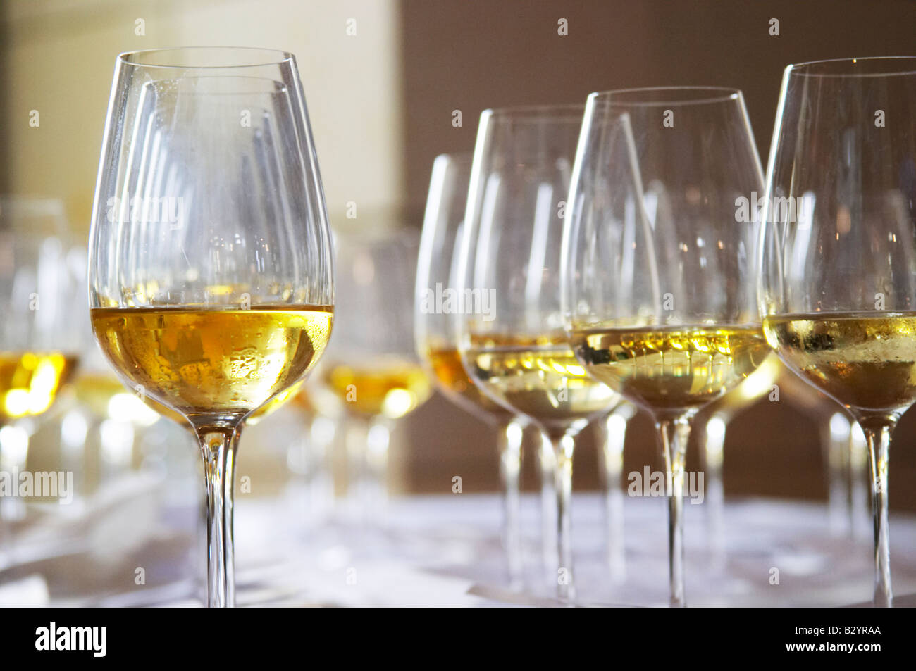 Wine tasting. Wine glasses. Chenin blanc sweet wines Stock Photo Alamy