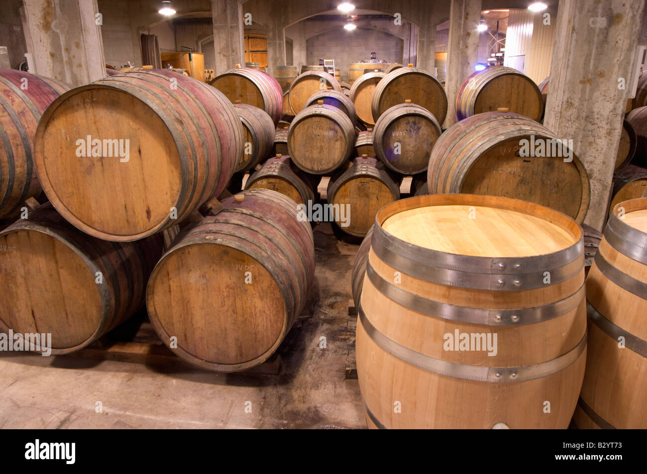 Oak barrel aging and fermentation cellar. Domaine Gauby, Calces, roussillon, France Stock Photo